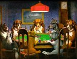 Shut Up and Play Yer Cards