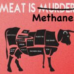 The Big Take Away from COP26 Confab is: Meat