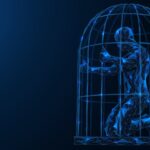 PayPal, Bail-Ins and the Necessity for Trustless Money