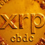 A Deep Dive Into Ripple & XRP